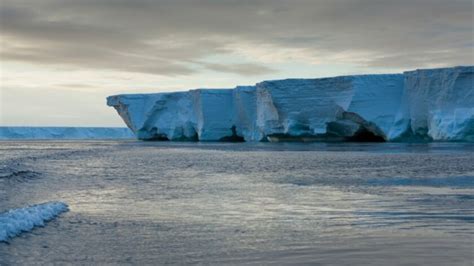 novo ecossistema antarctica